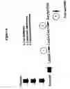 Fig. 05 - 3-hydroxypropionic acid and other organic compounds