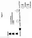 Fig. 06 - 3-hydroxypropionic acid and other organic compounds