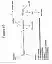 Fig. 70 - 3-hydroxypropionic acid and other organic compounds