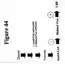Fig. 71 - 3-hydroxypropionic acid and other organic compounds