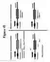 Fig. 72 - 3-hydroxypropionic acid and other organic compounds