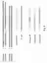 Fig. 08 - Methods and composition for the production of orthogonal tRNA-aminoacyl tRNA synthetase pairs
