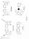 Fig. 12 - Methods and composition for the production of orthogonal tRNA-aminoacyl tRNA synthetase pairs