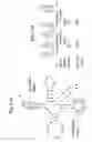 Fig. 26 - Methods and composition for the production of orthogonal tRNA-aminoacyl tRNA synthetase pairs