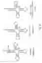 Fig. 33 - Methods and composition for the production of orthogonal tRNA-aminoacyl tRNA synthetase pairs