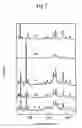 Fig. 09 - Quantitative proteomics with isotopic substituted raman active labeling