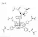 Fig. 02 - Molecular recognition polymer enabling reconstruction of recognition field for target molecule and method of producing the same