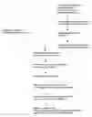 Fig. 01 - Tyrosine phosphorylation sites