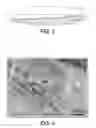 Fig. 06 - Method For Controlling The Structure And Surface Qualities Of A Thin Film And Product Produced Thereby