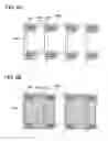 Fig. 07 - Manufacturing method of semiconductor device and manufacturing apparatus of the same