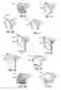 Fig. 06 - Screw assembly for electrical connectors