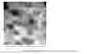 Fig. 01 - Soft and Elastic Nonwoven Polypropylene Compositions