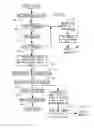 Fig. 04 - System and method for authorizing and monetizing collect cellular telephone calls