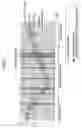 Fig. 08 - Mobile station, base station and method of controlling peripheral cell measurement