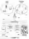 Fig. 07 - METHOD AND APPARATUS FOR SENDING DATA RELATING TO A TARGET TO A MOBILE DEVICE