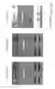 Fig. 22 - Interactive Interface for Devices Supporting Communication Employing Sender-Specified Media Content