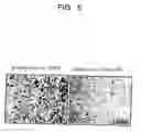 Fig. 07 - METHODS FOR INDUCING COMPLETE APOPTOSIS OF LIVER CELLS EXPRESSING HBCHI PROTEIN AND SCREENING FOR SUBSTANCES OR GENES THAT INHIBIT THE APOPTOSIS