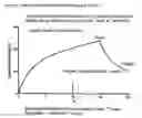 Fig. 09 - Method for Maximizing Efficacy and Predicting and Minimizing Toxicity of Calcineurin Inhibitor Compounds
