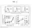 Fig. 02 - AGENT FOR CONTROL OF FUNCTION OF ANTIGEN-PRESENTING CELL