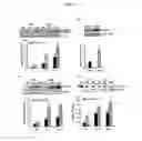 Fig. 06 - Reagents and Methods for Modulating Gene Expression Related to Hypertension
