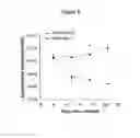 Fig. 09 - Reagents and Methods for Modulating Gene Expression Related to Hypertension