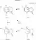 Fig. 19 - Substituted bicyclic derivatives and use thereof