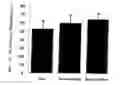 Fig. 01 - COMPOSITIONS CONTAINING RIBOFLAVIN AND SESAMIN-CLASS COMPOUNDS