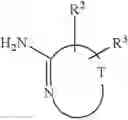 Fig. 22 - Substituted phenylacetamides and their use as glucokinase activators