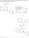Fig. 06 - Amide Substituted Quinolines