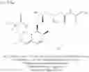 Fig. 103 - COMPOSITIONS AND METHODS OF USE FOR TREATING OR PREVENTING LIPID RELATED DISORDERS