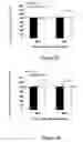 Fig. 03 - Aadenosine receptor allosteric modulators