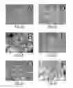 Fig. 03 - Method of making and administering quinoline derivatives as anti-cancer agents