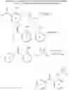 Fig. 33 - CCR9 inhibitors and methods of use thereof