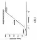 Fig. 04 - Intermediate Release Nicotinic Acid Compositions For Treating Hyperlipidemia Which Exhibit an In Vivo Stair-Stepped Absorption Curve