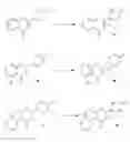 Fig. 01 - Composition for treating cancer cells and synthetic method for the same