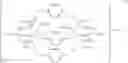 Fig. 58 - Bridged polycyclic compound based compositions for coating oral surfaces in pets