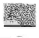Fig. 06 - Disk-like nanoparticles