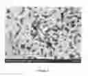Fig. 07 - Disk-like nanoparticles