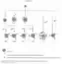 Fig. 02 - Functionalised nanoparticles, their production and use