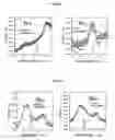 Fig. 05 - Composite Particulate and Manufacturing Method for the Same