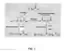 Fig. 02 - Method for preparing long-chain hydroxyacids, diacids and oligomers and polymers thereof