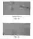 Fig. 02 - Hydroxyl terminated precursor and method of making the same