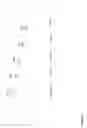 Fig. 02 - RECOMBINANT PROTEIN VARIANTS