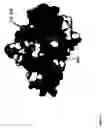 Fig. 09 - RECOMBINANT PROTEIN VARIANTS