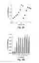 Fig. 08 - Hydrophobically-modified protein compositions and methods