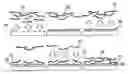 Fig. 01 - Method for controlling stability of nanofabricated polypeptide multilayer films, coatings, and microcapsules