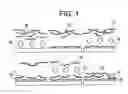 Fig. 02 - Method for controlling stability of nanofabricated polypeptide multilayer films, coatings, and microcapsules