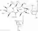 Fig. 02 - Process for the preparation of clarithromycin
