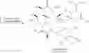 Fig. 04 - Process for the preparation of clarithromycin