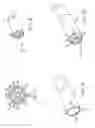 Fig. 04 - Manipulatable guide system and methods for natural orifice translumenal endoscopic surgery